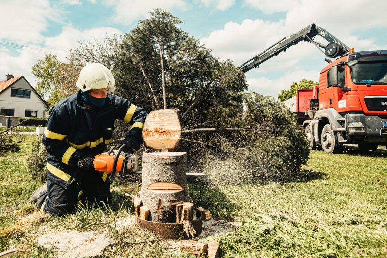 Un pompier utilise une tronçonneuse pour couper une souche d'arbre tandis qu'un camion l'assiste en extérieur.
