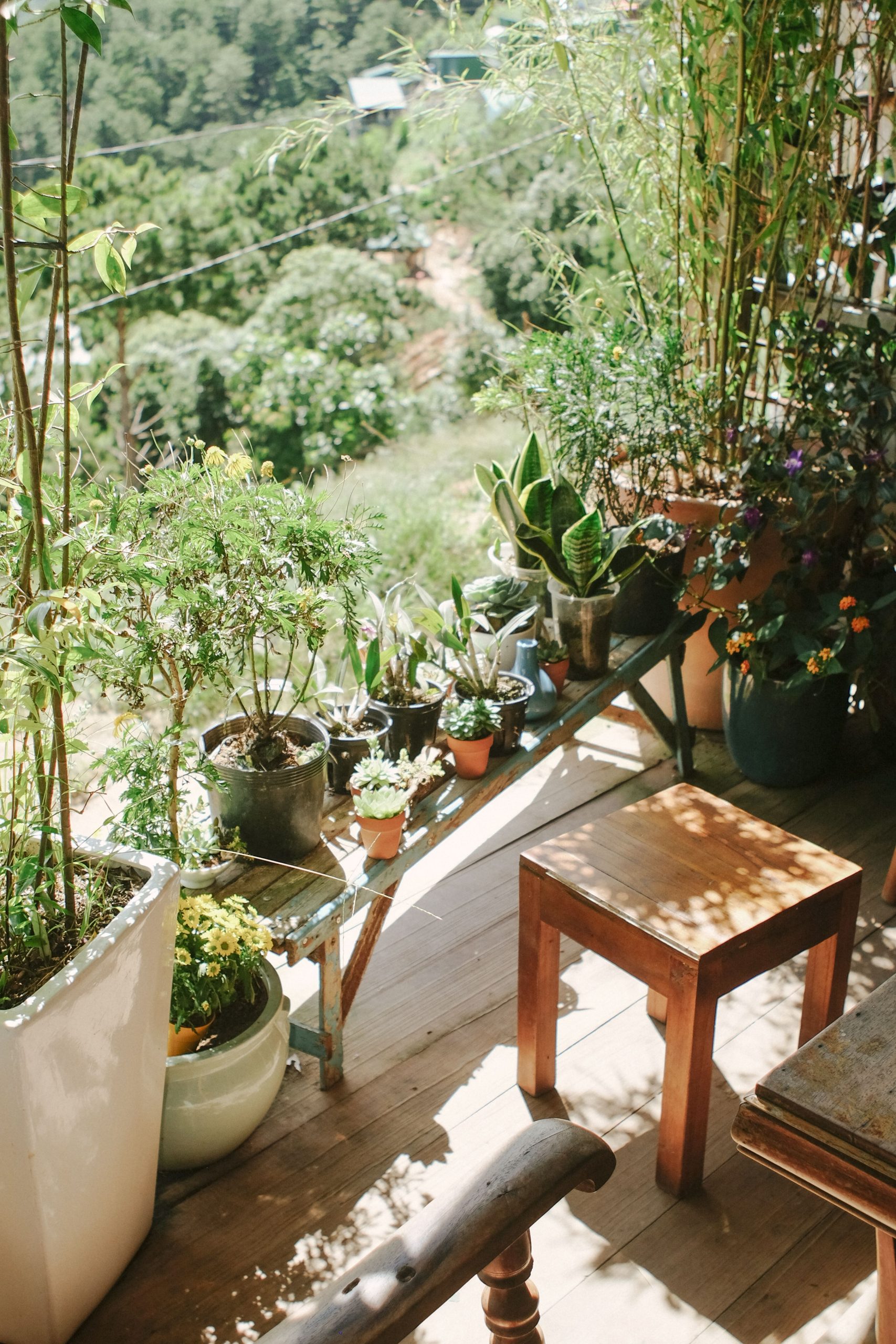 Idées d'aménagement petit jardin 10m2