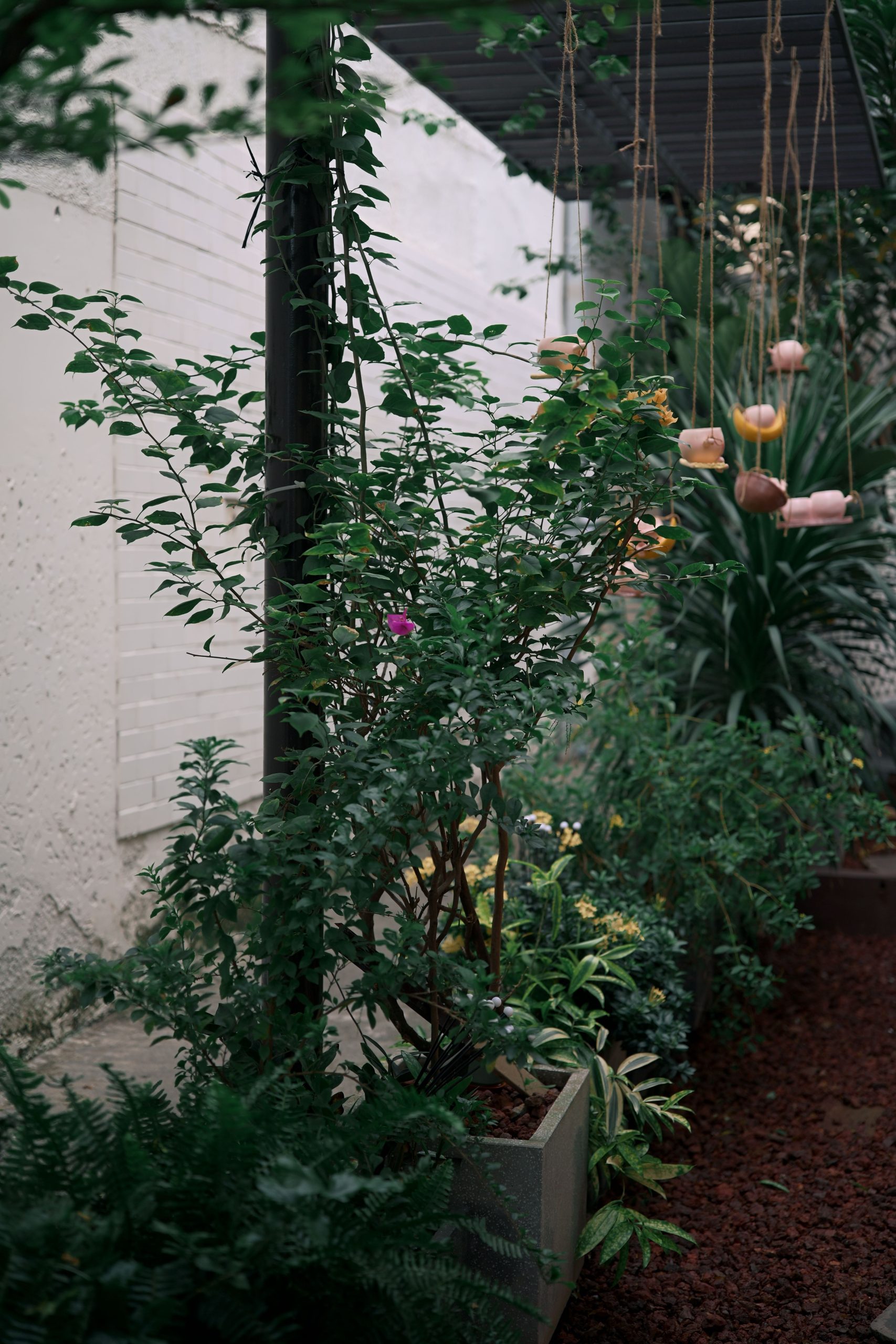 Aménagement optimisé petit jardin 10m2