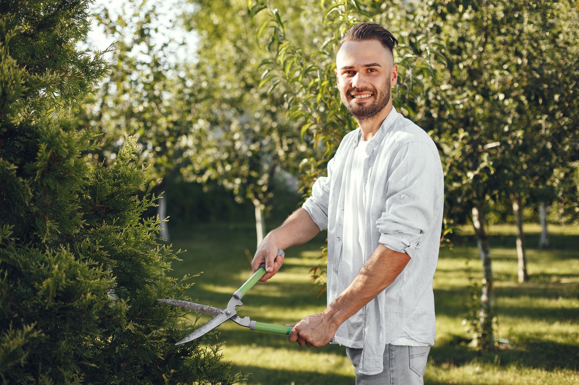 Homme utilisant un secateur dans un jardin ensoleille