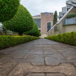 Allée bordée de haies parfaitement taillées