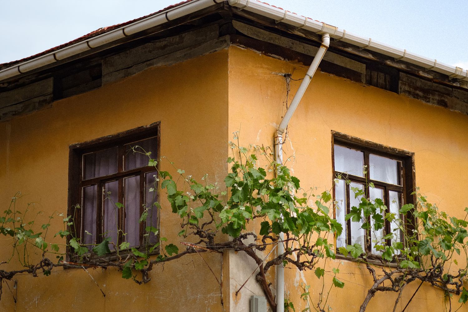 Maison ancienne avec gouttiere apparente sous le toit