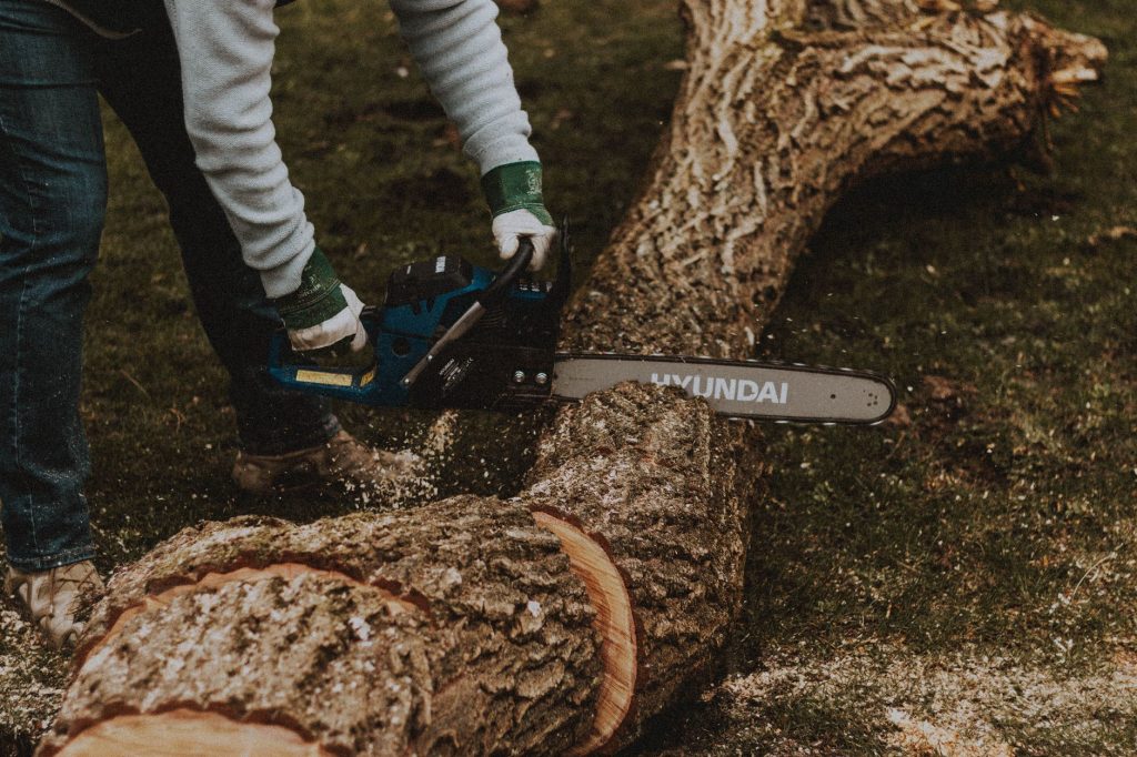 Ouvrier tronçonnant un tronc d'arbre couché en forêt